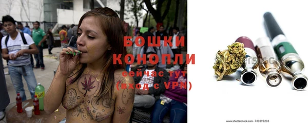 ГАЛЛЮЦИНОГЕННЫЕ ГРИБЫ Гусиноозёрск