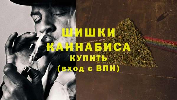 ГАЛЛЮЦИНОГЕННЫЕ ГРИБЫ Гусиноозёрск
