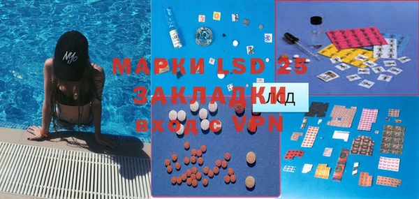 ГАЛЛЮЦИНОГЕННЫЕ ГРИБЫ Гусиноозёрск